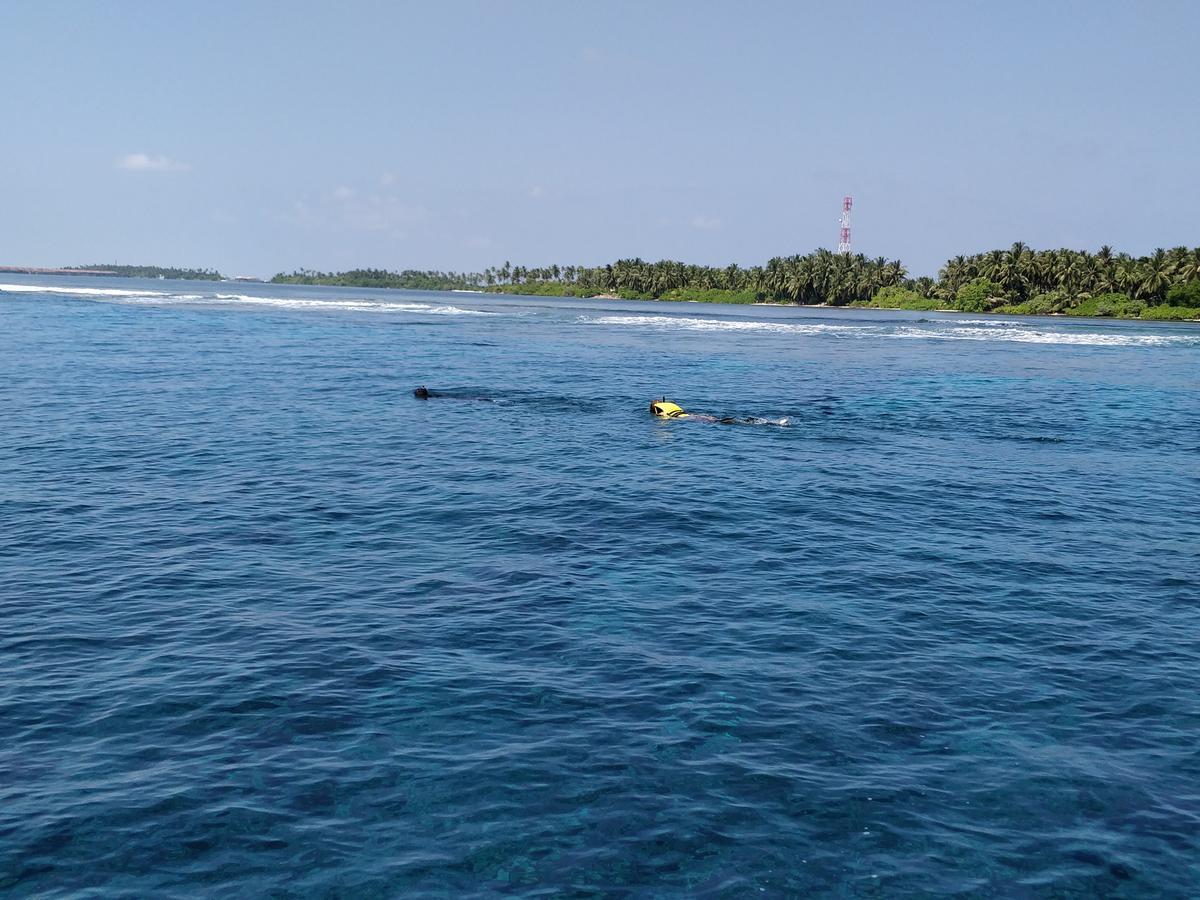 ホテル Island Guest Maamendhoo エクステリア 写真